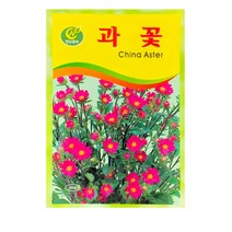 SN월드 중앙꽃씨 씨앗, 중앙꽃씨-과꽃10봉
