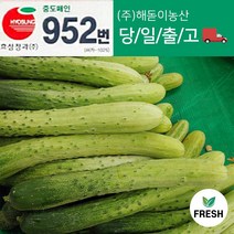 <해돋이농산> 국내산 다다기오이 백다다기오이 백오이 지오이 상품 15개 30개” class=”wr-img”></a></div></div></div></div><div class=