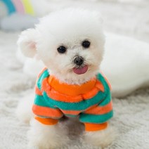 강아지 겨울 극세사 털옷 부드러운 기모 티셔츠 실내복, 그린
