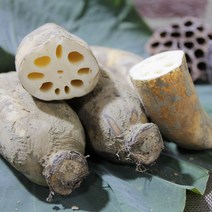 [이베따] 아삭한 국내산 연근 실속형 1kg~5kg 흙연근, 1박스, 흙연근 2kg(실속형)