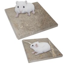천연대리석 쿨매트(햄스터용소형), 단품