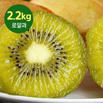 제주의정 제주 한라스위트 키위 로얄과 30과 2.2kg, 단품