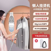 휴대용다리미 동대문 옷 매장 홈쇼핑 스티머 여행용 가정용 스팀기 소형 부스터 보관, 화이트 실버 기본구성