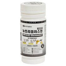 푸들 치와와 연골강화 튼튼뼈 관절 영양제 어덜트 면역력 추천 대형견 시추