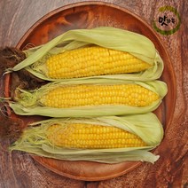 맛가득 프리미엄 초고당도 제주초당옥수수 해남 강원 찰옥수수, 초당옥수수 280~340g 6개, 최상품 초당옥수수 개수선택
