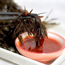 당일채취 완도 생 톳 톳나물 500g 1kg, 생 톳 1kg