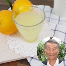 사그담 [산지직송]경남 진해 무농약 유자원액 1L x 2병, 단일옵션