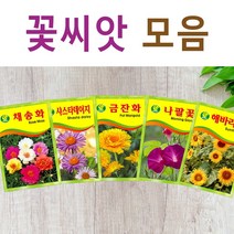 살아있는 꽃씨 야생화 키우기 다년생 채송화 다알리아 달맞이꽃 해바라기 맨드라미 봉선화 코스모스 메리골드 패랭이 접시꽃 사루비아 구절초 유채 백일홍 금잔화 꽃씨앗, S- 꽃씨-신경초 x 1개