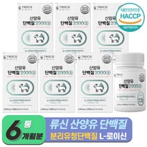 분리유청단백질 WPI 식약청 인증 산양유 단백질 류신단백질 먹기편한 정타입 락토프리 류신 타블렛 카제인 근육 프로틴 보충제 필수아미노산 BCAA (+사은품증정), 30정 x 6개 (6개월)