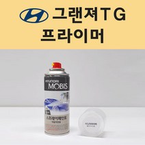 현대 그랜져TG 투명붓펜 투명스프레이 프라이머 브랜딩클리너 컴파운드 퍼티 신나 시너 세차타월 종이사포 커버링테이프 콤파운드 빠데 타올 빼빠 프라이마 차량용 도색 자동차 카 페인트, 선택:그랜져TG 프라이머(모비스)