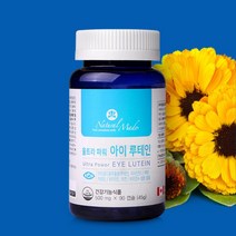 베타카르틴 루테인 각막 노안 영양제 부모님 황반변성 루테린 효도선물 눈건조 황반밀도 눈침침 눈 루테윈