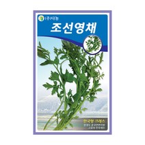 다농 조선영채 씨앗 5g
