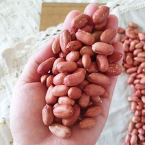 [산지직송] 좋은물과 흙이 만들어낸 땅콩! 23년 여주 햇 볶음 땅콩 300g, 1개