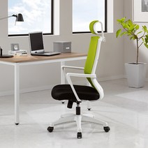 DSP 릴리온 인체공학 디자인 책상의자, 릴리온 화이트-블랙