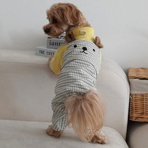 이구사공 강아지옷 테디베어 체크패턴 소형견 의류, 02_테디베어 올인원