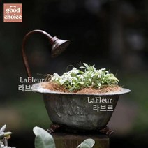 빈티지양철화분 양철정원소품 플랜트박스 양철통, 욕조 화분, 1 라지 ➕ 큰 사이즈 (투피스)