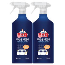 홈스타 주방용 세정 스프레이 750ml x2개, 단품