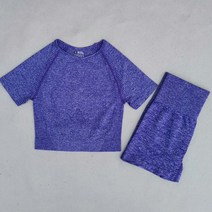 고성능 235개 에너지 요가 세트 여성 운동 운동복 의류 체육관 레깅스 스포츠 정장, [03] L, [31] 2개-Purple