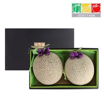 머스크멜론 2수 선물세트 4kg, 옵션선택, 22년머스크멜론2수