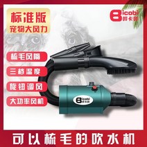 강아지 드라이기 에어탱크 반려동물 드라이 드라이룸 반려견 고양이 펫 건조기 드라이어 애견, 표준 버전