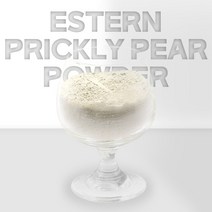 열린약초 국내산 제주도 천년초 분말 가루 손바닥 선인장, 300g, 2개, 2개