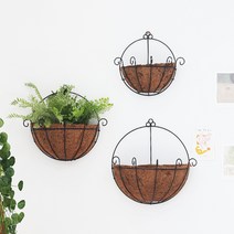 행잉플랜트 코코넛 반달 벽걸이화분, 반달형 25cm