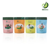 [담우] 열두달 친환경 무농약나물 피클 장아찌 100g x 4종 세트 방풍 곤드레 취나물 부지깽이, 100g x 4개 선물세트