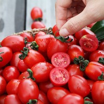 장보남 대추방울토마토 5kg 2kg 대과 중과 소과 실중량 /우체국택배, 1, 대추방울토마토 대과 5kg