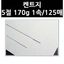 (9815760) 켄트지 5절 170g 1속/125매