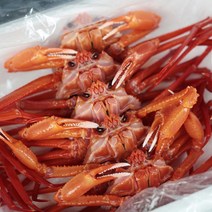 동해안 가성비 홍게10마리 택배+찜비 무료!, 동해안 가성비 홍게!택배+찜비 무료!