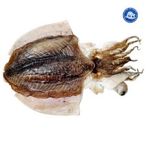 반건조 갑오징어 손질갑오징어(특대), 35900