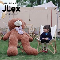 (마지막 할인) 제이렉스 캔버스 캠핑 원목 의자, L사이즈, 1개