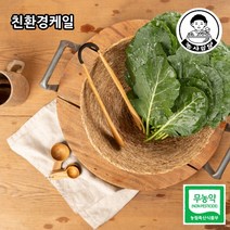 [농사임당] 친환경 무농약 녹즙용 쌈용 케일 쌈채소 500g/1kg, 500g