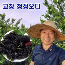 오디 햇 토종 뽕나무열매 오들개 생과 5kg 10kg 고창, 토종오디 5kg