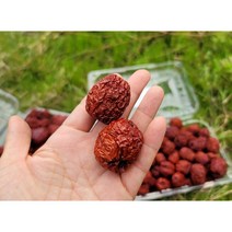 건대추 대용량 건사과대추 5kg 10kg 20kg 중대과 크기 28~35mm, 1박스, 28~35mm/20kg