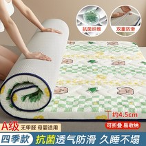 가볍고 봄 여름 가정용 기숙사 1인 원룸 매트리스 쿠션 렌탈 싱글 가성비 항균매트, 그린 기분 항균 4.5 cm