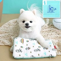 D17 패리스독 아이스 쿨파우치(아이스팩포함), 엘림헬스케어81 본상품선택