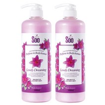 청정미인 퍼퓸 러블리드리밍 바디워시 1000ml 2개