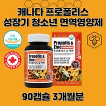 캐나다 프로폴리스 직수입 직구 면역 플러스 세포 필수 영양제 알약 캡슐 정 성장기 아이 청소년 고등학생 중학생 직장인 활력 건강유지 면역력 높이는법 항산화제 대용량 3개월
