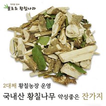 불로초황칠나라 <황칠나무> 황칠나무가지(약성높은 잔가지) 400g 800g 황칠나무잔가지, 1개” class=”wr-img”></a></div>
</p></div>
</p></div>
</p></div>
<div class=