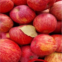 GAP인증/ 꿀사과/14브릭스이상/당도보장/10kg, 미니/48-54과/유아주먹, 10kg