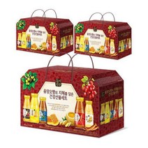 몸에좋은 음양오행 건강 선물 세트, 180ml × 30병