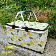 Z3JC 캠핑 휴대용 아웃도어 신선 보관 냉장 차량용 수납함 보냉 텀블러, Z3JC 일반판 (가을동화), 아이스팩 20개 추가