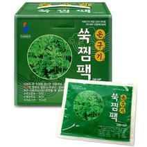 부광약품 온구기 쑥찜팩 140g, 2개