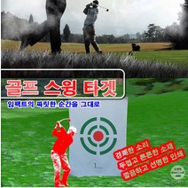 별도표기 스윙타겟B형 스윙타켓 골프스윙타겟 골프용품 대형사