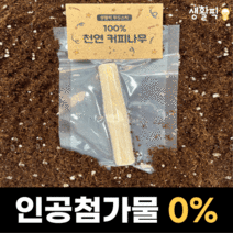 생활픽 강아지 커피나무 우드스틱, L, 2개