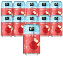 미닛메이드 스파클링 사과 350ml 48캔, 48개