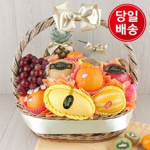 과일연가 [1/20일 09시주문건까지 명절전배송][과일선물세트] 프리미엄 과일바구니 (수도권 당일)