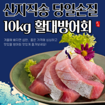 방어회 10kg이상 대방어 산지직송 뱃살 배꼽살 살치살 등살 꼬리살, 10kg 이상 활대방어회 350g, 1개