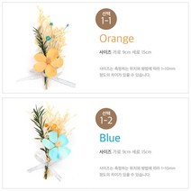 드라이플라워 인테리어 액자용 초미니 엽서카드, 1개, 1-2 Blue